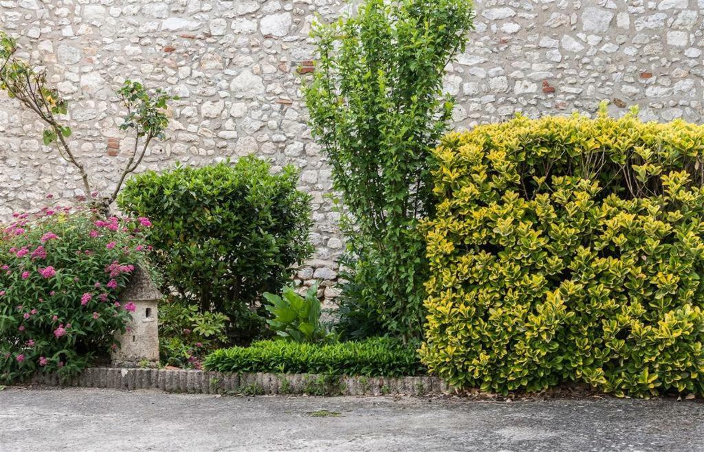 Hotel Du Cygne De La Croix Blanche Lailly-en-Val Exteriör bild